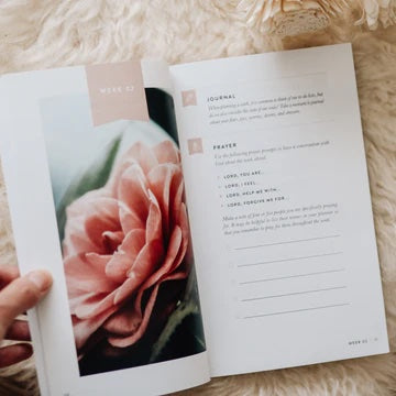 Fix Your Focus | A 52 Week Guide
